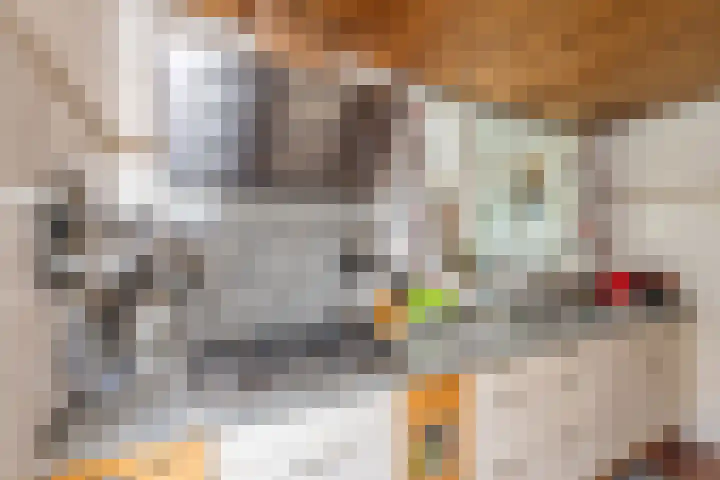 Juliana van Stolberglaan 3 Hillegom thumbnail 5