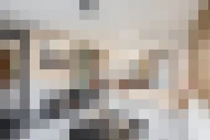 Juliana van Stolberglaan 3 Middelharnis thumbnail 12