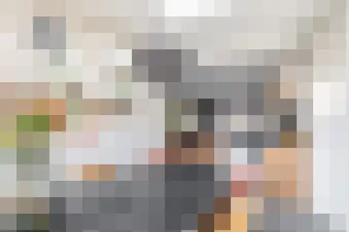 Juliana van Stolberglaan 3 Middelharnis thumbnail 20