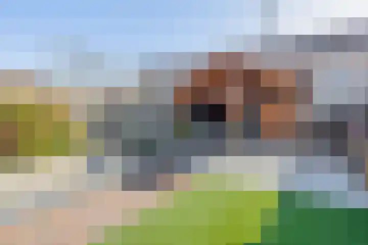 Juliana van Stolberglaan 3 Middelharnis thumbnail 32