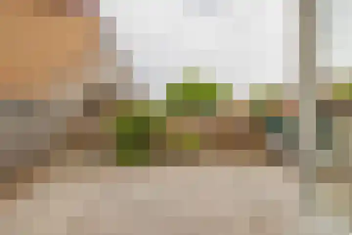 Juliana van Stolberglaan 32 Hillegom thumbnail 24