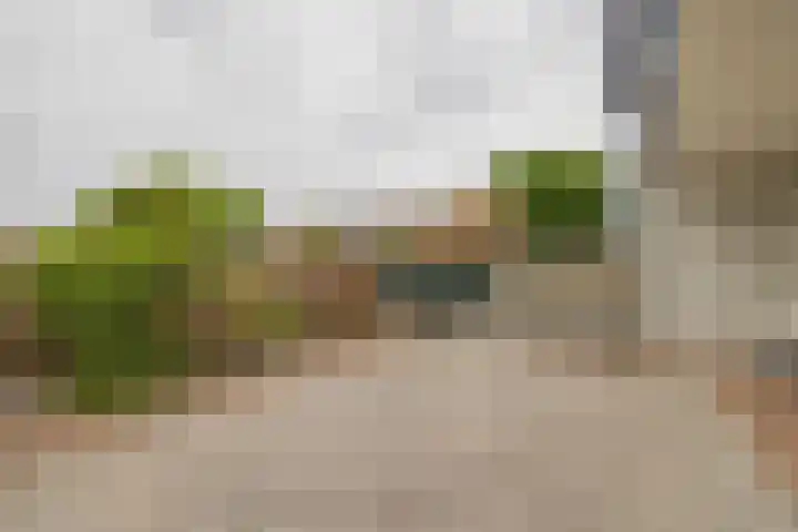 Juliana van Stolberglaan 32 Hillegom thumbnail 25