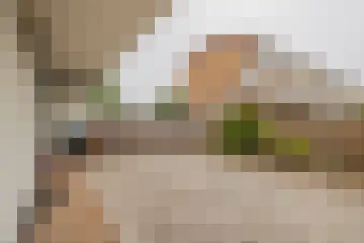Juliana van Stolberglaan 32 Hillegom thumbnail 26