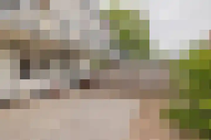 Juliana van Stolberglaan 32 Hillegom thumbnail 27