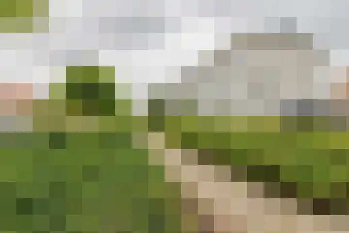 Juliana van Stolberglaan 32 Hillegom thumbnail 29