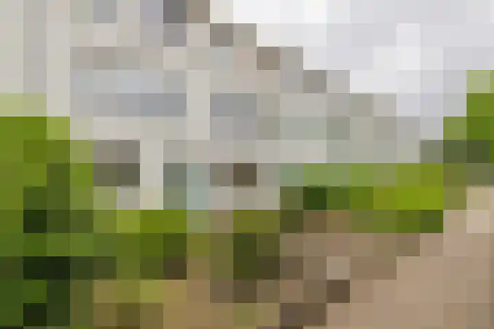 Juliana van Stolberglaan 32 Hillegom thumbnail 30