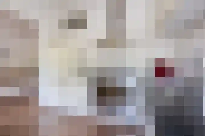 Juliana van Stolberglaan 327 Den Haag thumbnail 14