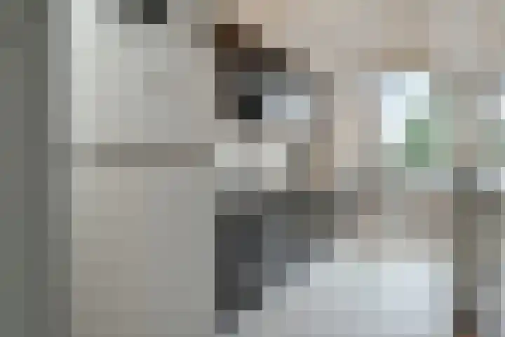Juliana van Stolberglaan 335 Den Haag thumbnail 17