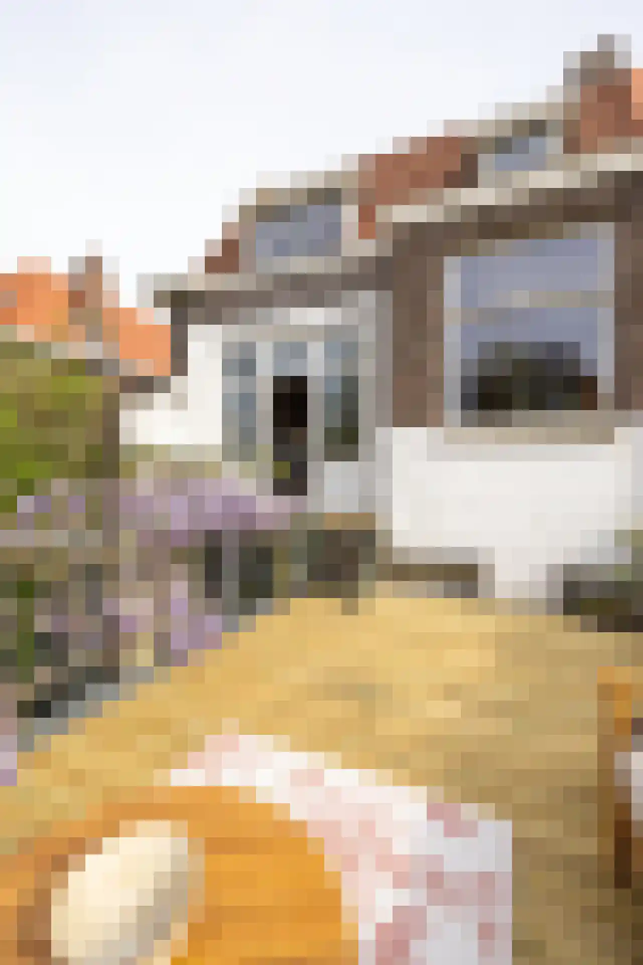 Juliana van Stolberglaan 35 B Rotterdam thumbnail 13