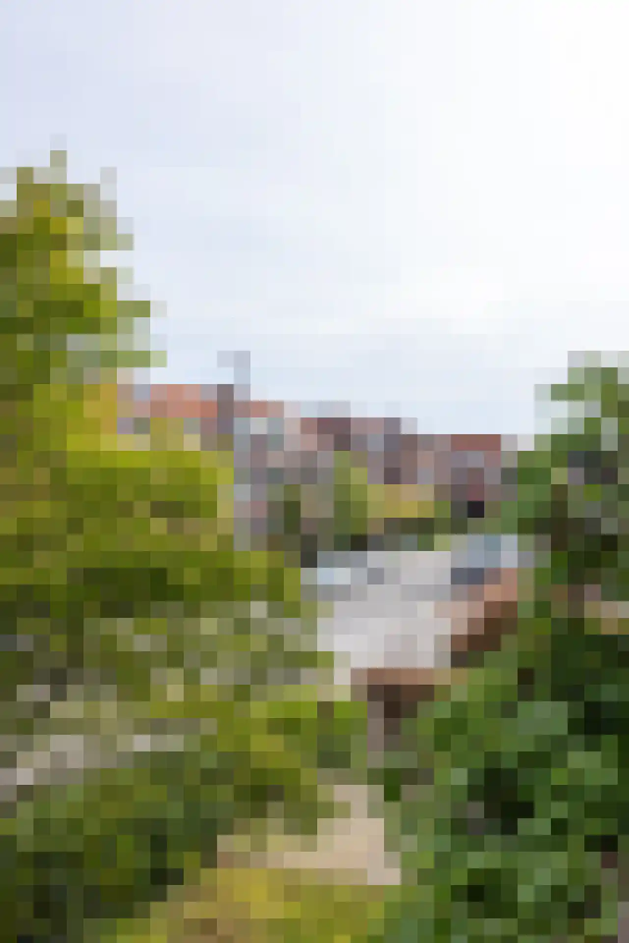Juliana van Stolberglaan 35 B Rotterdam thumbnail 32