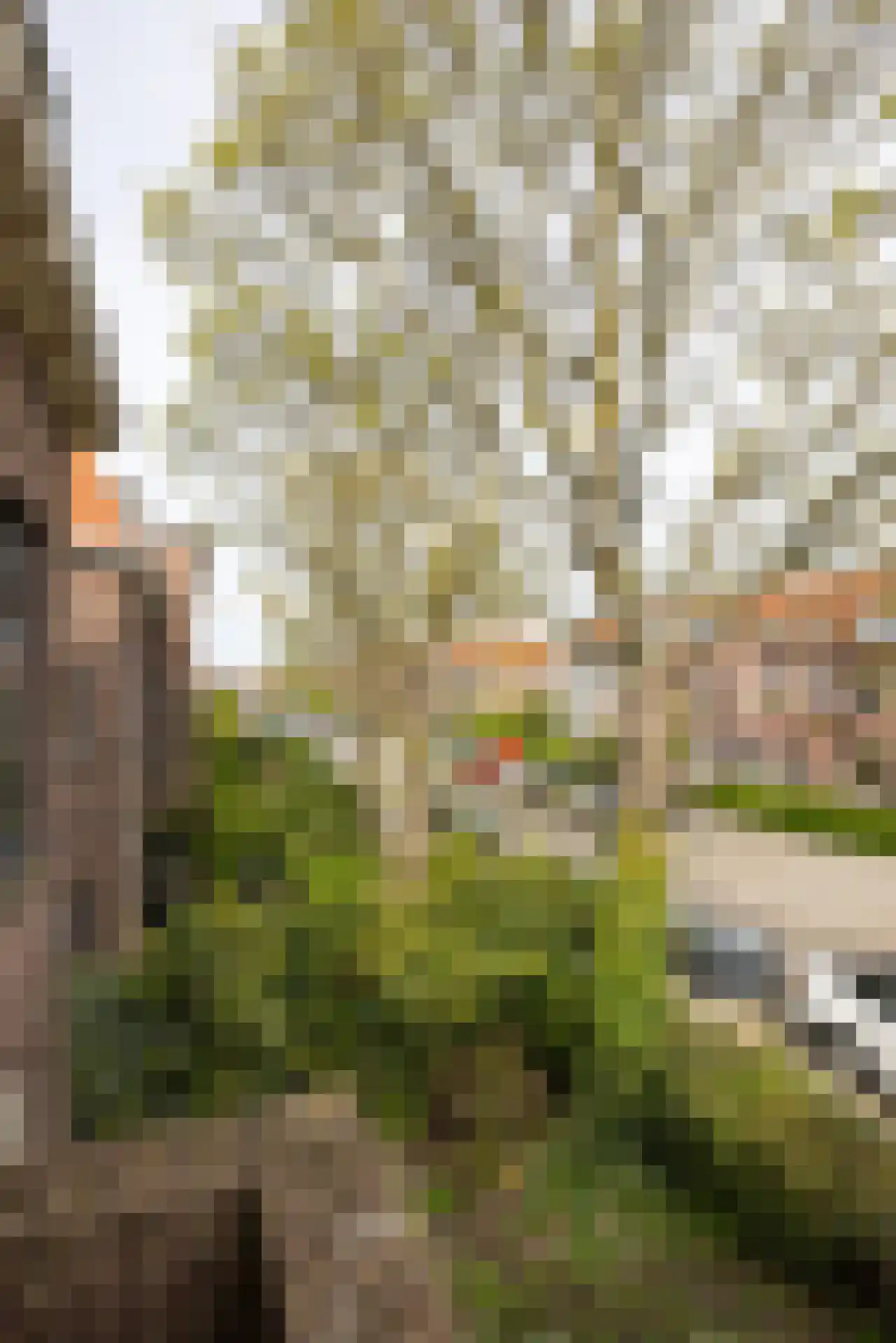 Juliana van Stolberglaan 35 B Rotterdam thumbnail 37