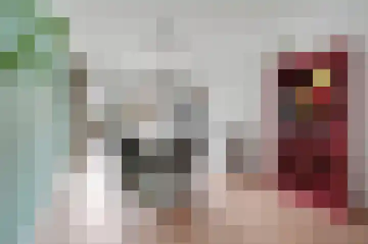 Juliana van Stolberglaan 392 Den Haag thumbnail 10