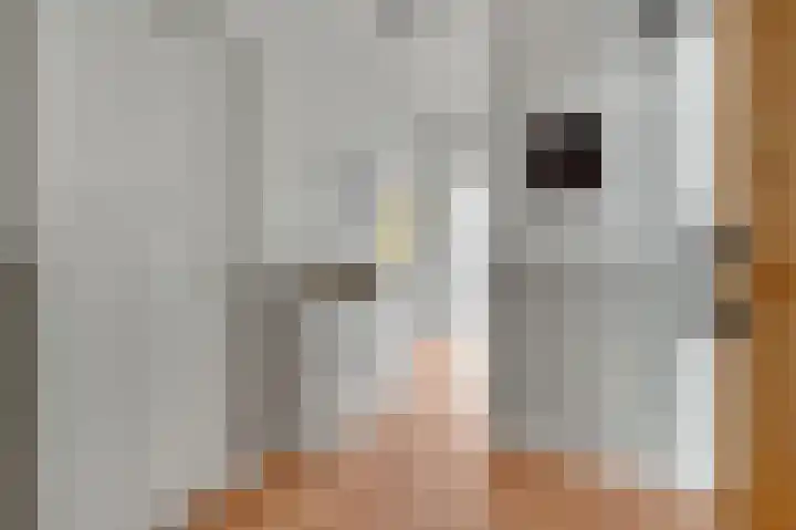 Juliana van Stolberglaan 392 Den Haag thumbnail 16