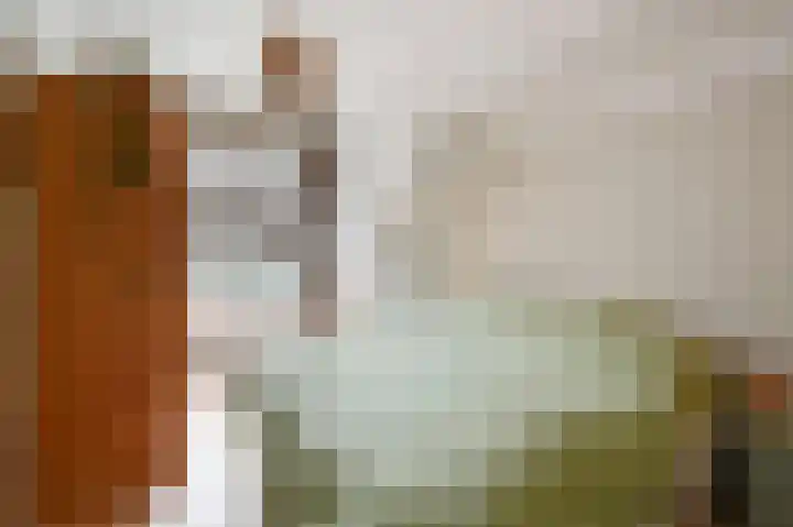 Juliana van Stolberglaan 392 Den Haag thumbnail 17