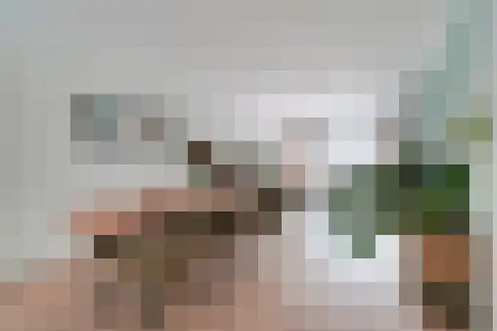 Juliana van Stolberglaan 392 Den Haag thumbnail 4