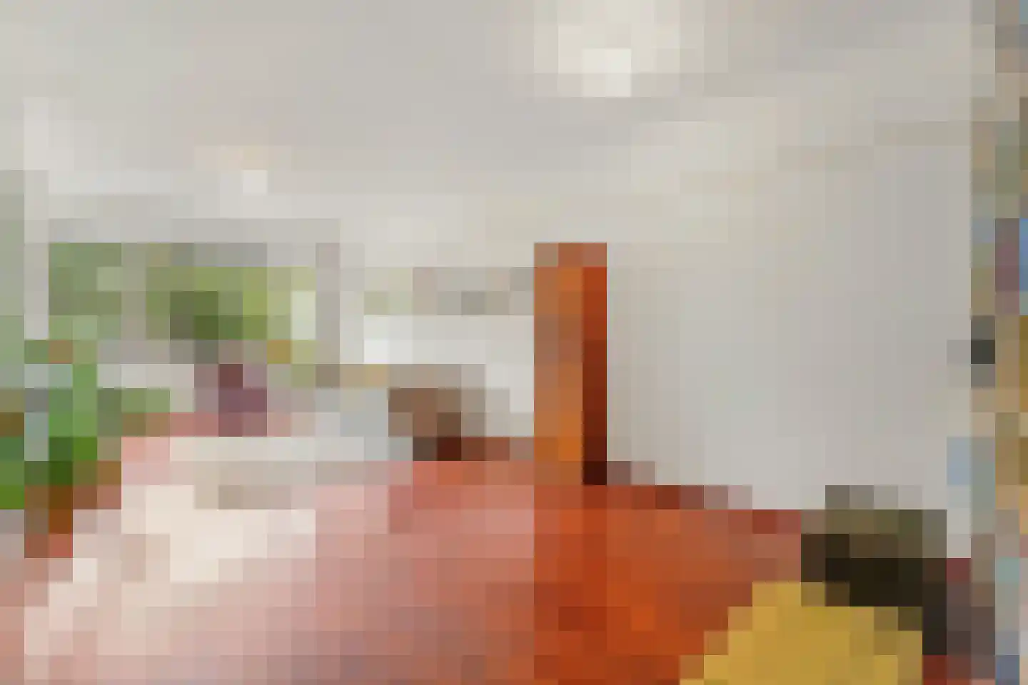 Juliana van Stolberglaan 396 Den Haag thumbnail 7