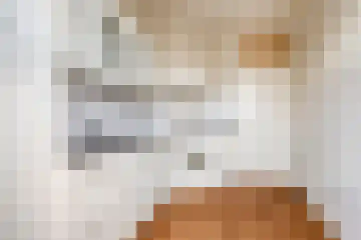 Juliana van Stolberglaan 4 Goes thumbnail 17