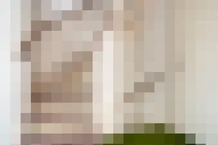 Juliana van Stolberglaan 4 Goes thumbnail 18