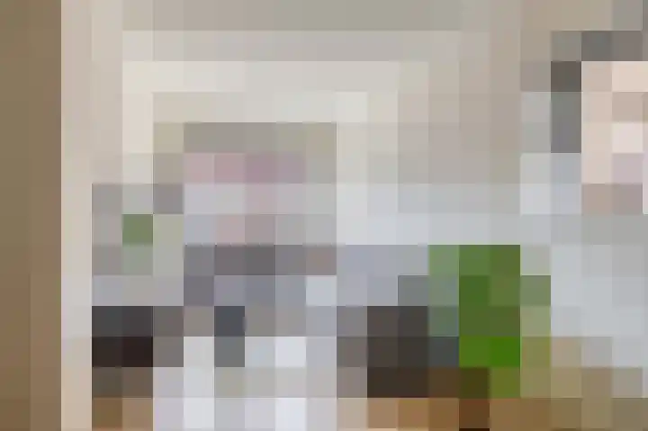 Juliana van Stolberglaan 4 Middelharnis thumbnail 12