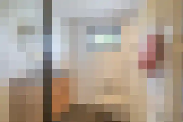 Juliana van Stolberglaan 4 Middelharnis thumbnail 28
