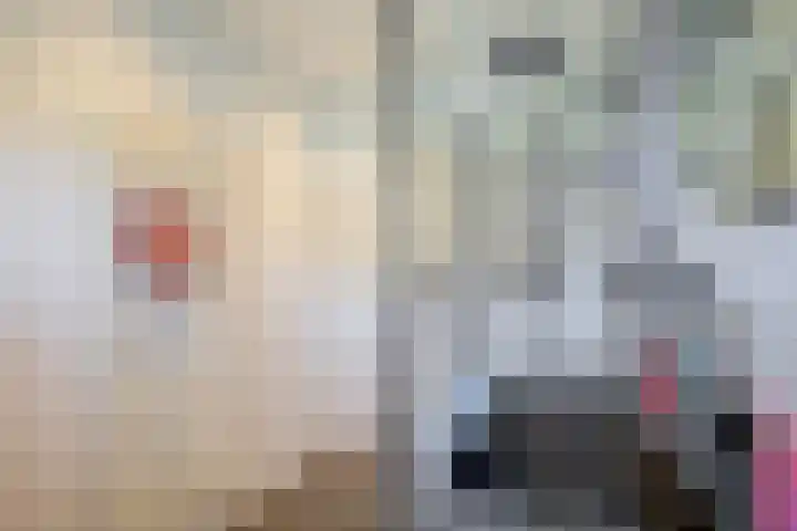 Juliana van Stolberglaan 4 Middelharnis thumbnail 29