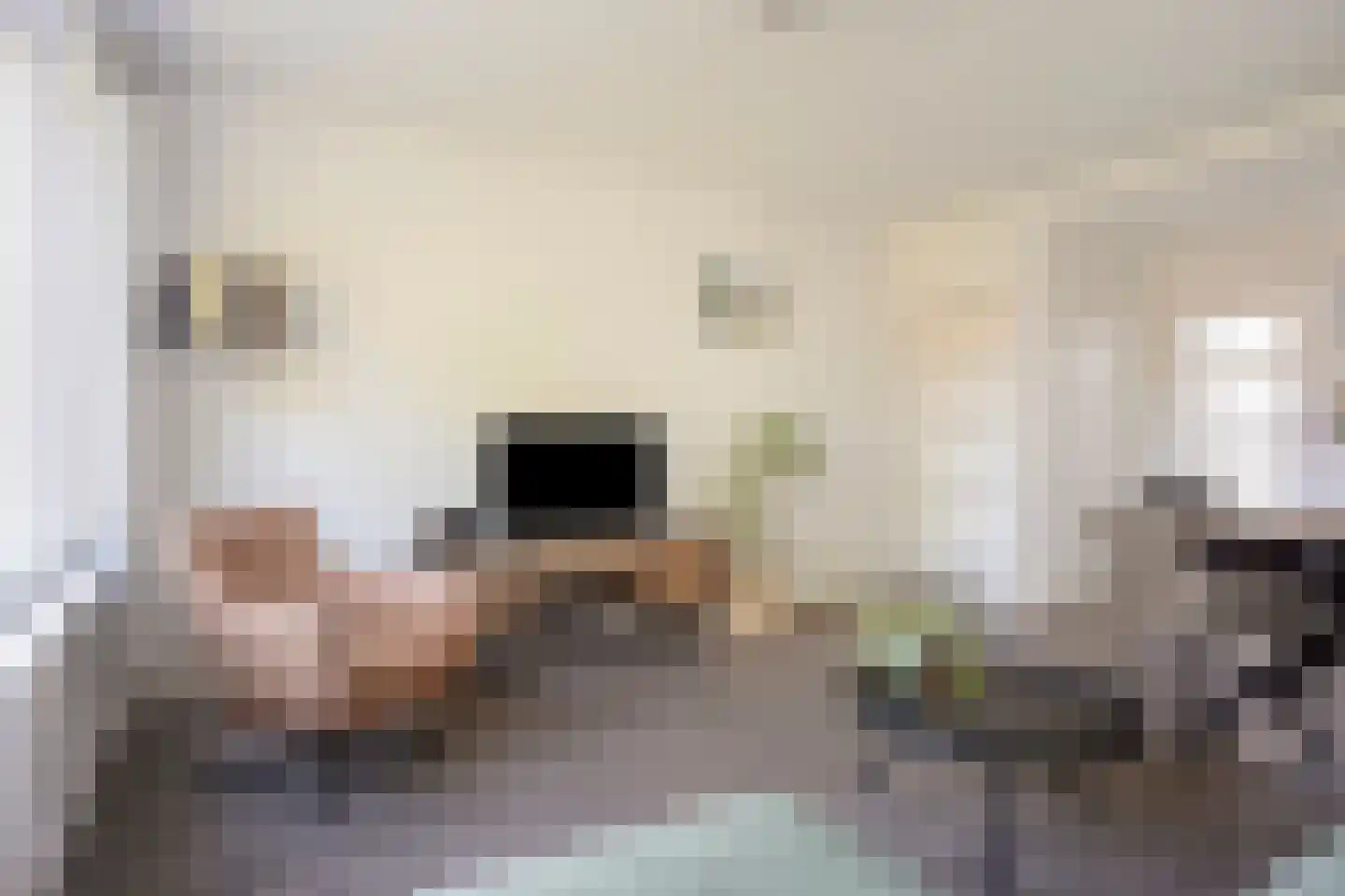 Juliana van Stolberglaan 40 Hillegom thumbnail 11