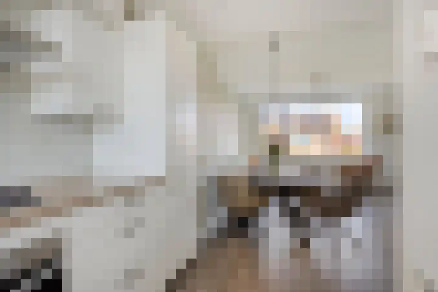 Juliana van Stolberglaan 40 Hillegom thumbnail 17