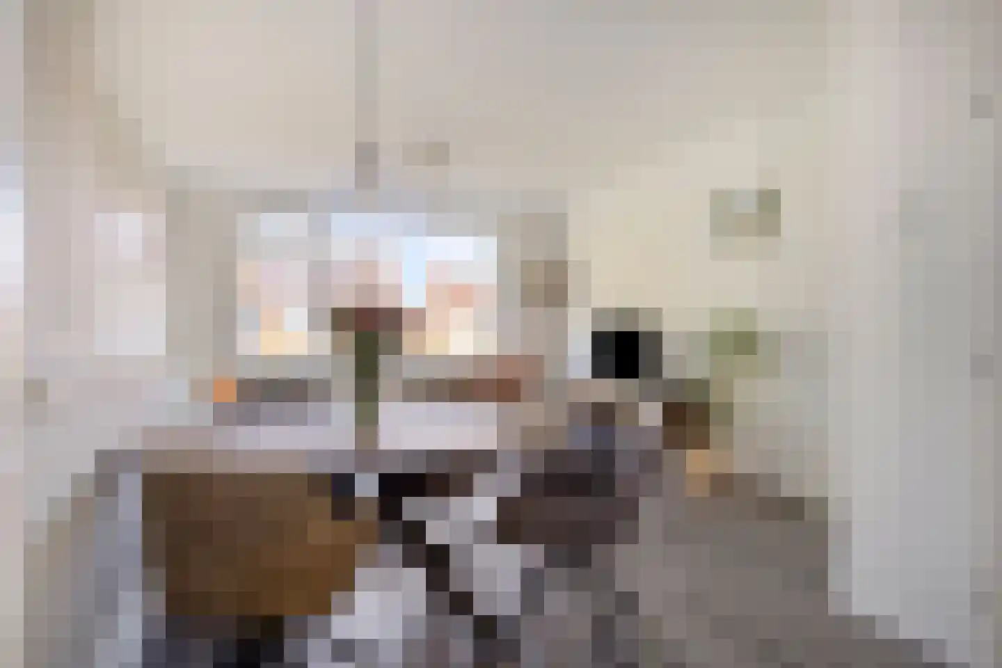 Juliana van Stolberglaan 40 Hillegom thumbnail 18