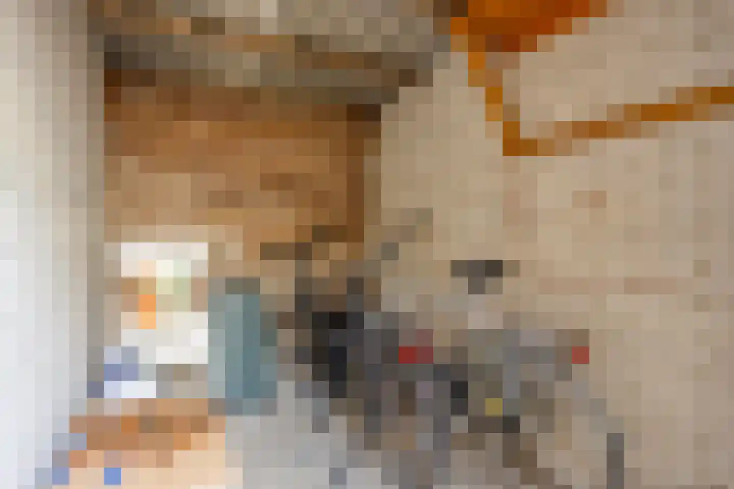 Juliana van Stolberglaan 40 Hillegom thumbnail 30