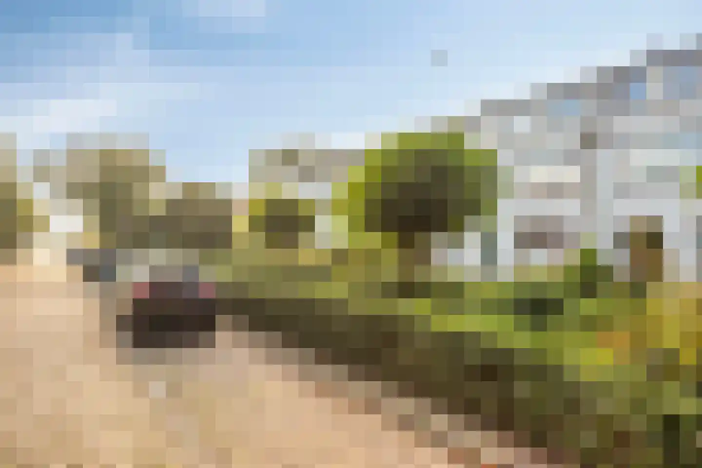 Juliana van Stolberglaan 40 Hillegom thumbnail 31