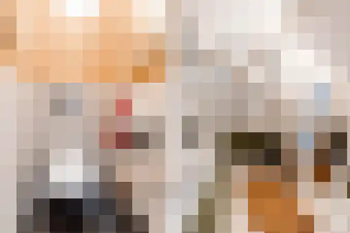 Juliana van Stolberglaan 400 Den Haag thumbnail 9
