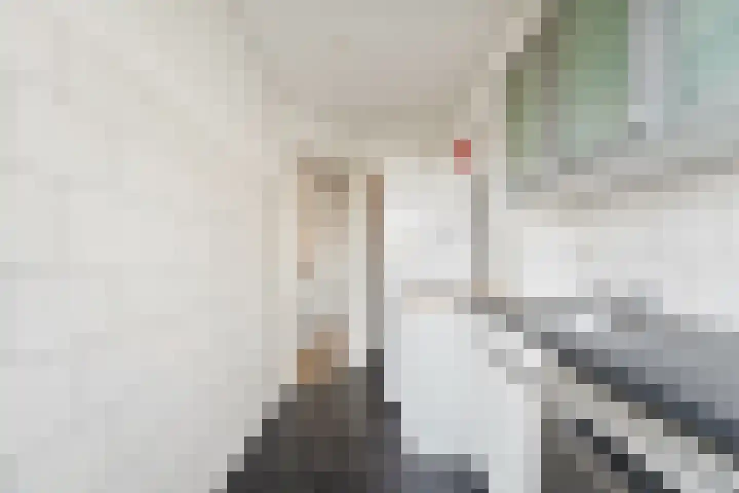 Juliana van Stolberglaan 412 Den Haag thumbnail 21