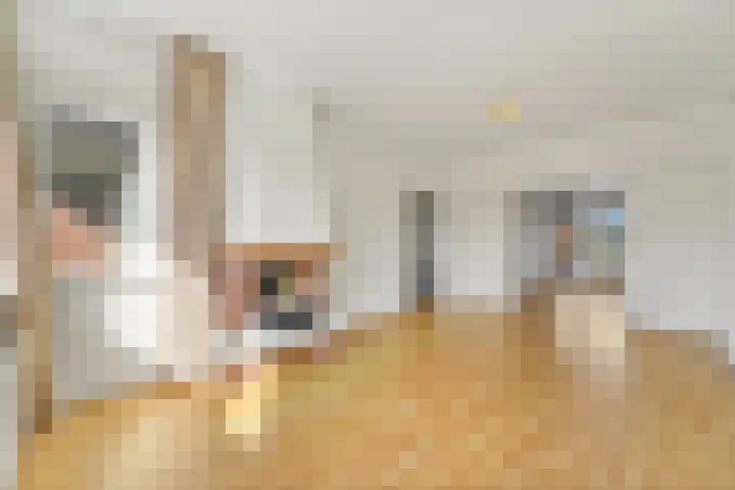 Juliana van Stolberglaan 412 Den Haag thumbnail 4