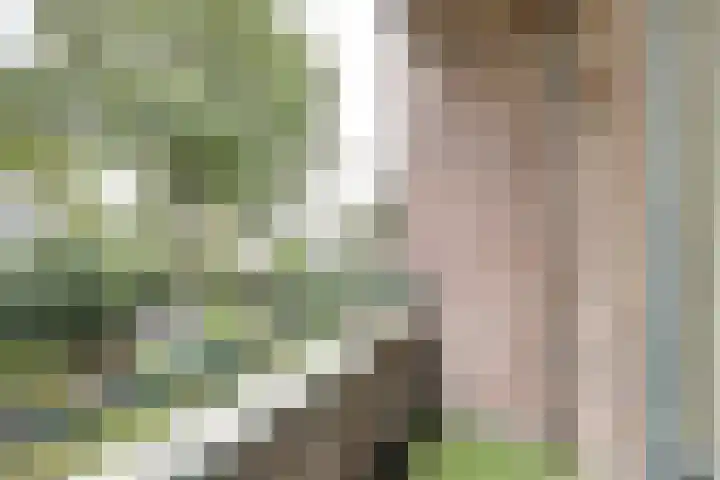 Juliana van Stolberglaan 48 Waddinxveen thumbnail 24