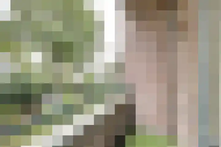 Juliana van Stolberglaan 48 Waddinxveen thumbnail 5