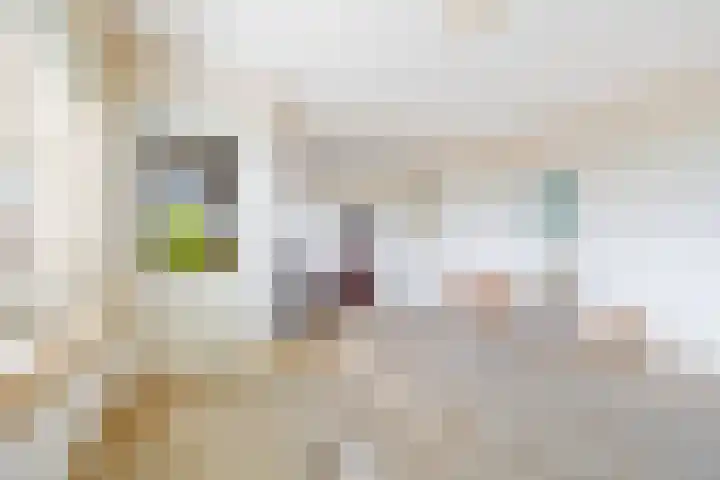 Juliana van Stolberglaan 484 Den Haag thumbnail 20