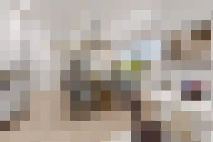 Juliana van Stolberglaan 484 Den Haag thumbnail 4
