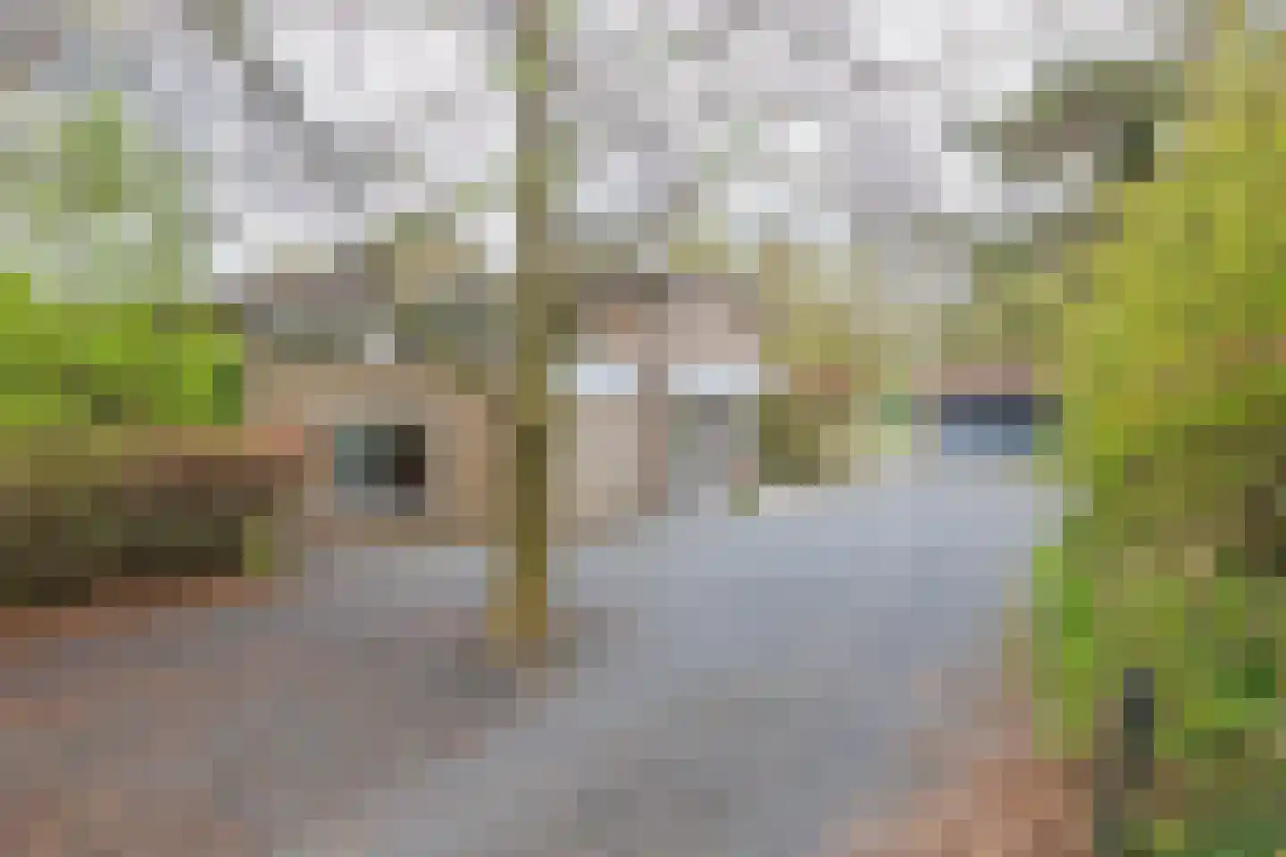 Juliana van Stolberglaan 49 Aerdenhout thumbnail 4