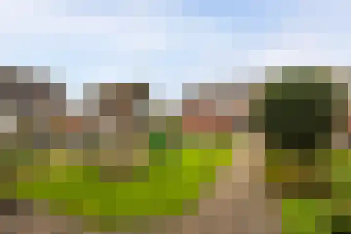 Juliana van Stolberglaan 49 Giessenburg thumbnail 10