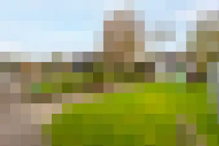 Juliana van Stolberglaan 49 Giessenburg thumbnail 11