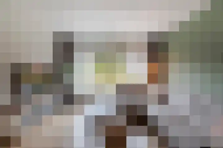 Juliana van Stolberglaan 49 Giessenburg thumbnail 13