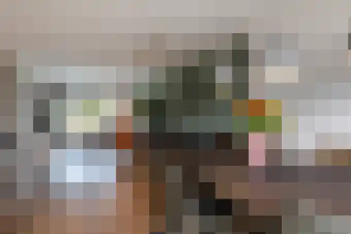 Juliana van Stolberglaan 49 Giessenburg thumbnail 17