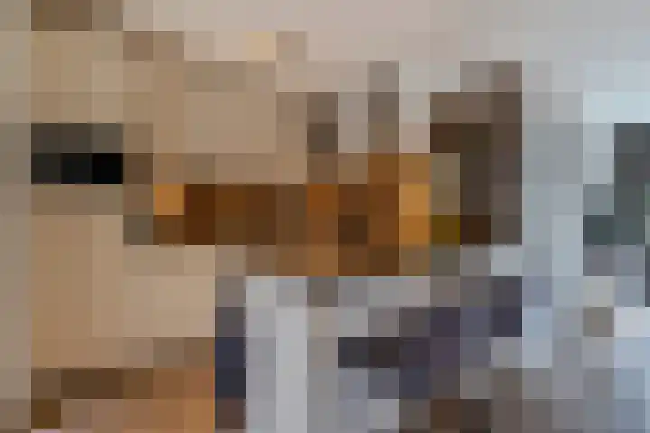 Juliana van Stolberglaan 49 Giessenburg thumbnail 19