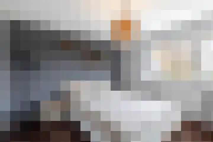 Juliana van Stolberglaan 49 Giessenburg thumbnail 29