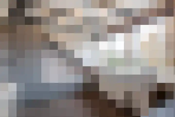 Juliana van Stolberglaan 49 Giessenburg thumbnail 39