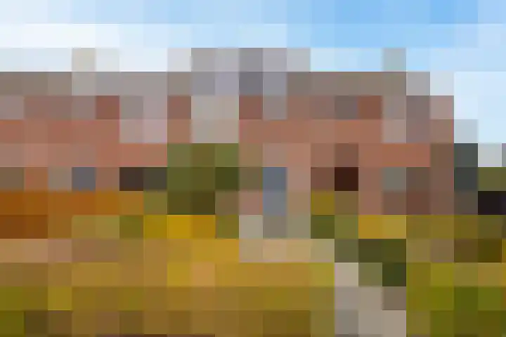 Juliana van Stolberglaan 49 Giessenburg thumbnail 4