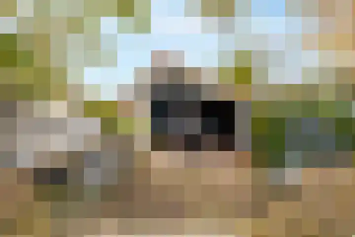 Juliana van Stolberglaan 49 Giessenburg thumbnail 41
