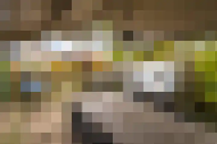 Juliana van Stolberglaan 49 Giessenburg thumbnail 42
