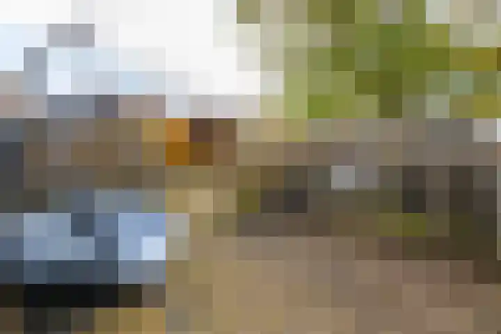 Juliana van Stolberglaan 49 Giessenburg thumbnail 45