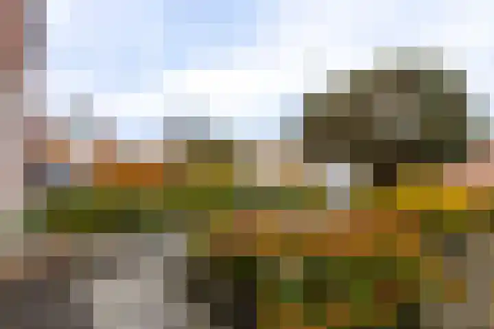 Juliana van Stolberglaan 49 Giessenburg thumbnail 47